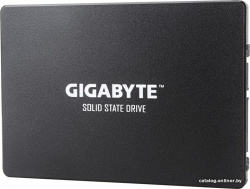 480GB GP-GSTFS31480GNTD
